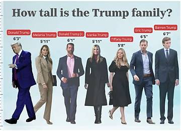 Barron Trump's Bedroom Size: a Comparative Analysis