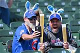 Cubs Boozy Lineup Gets a Major Power Boost with Beer Bats and Cbd Drink: Dollars and Sense